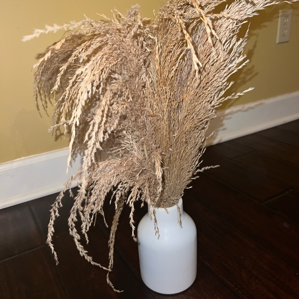 Boho Plant Decor